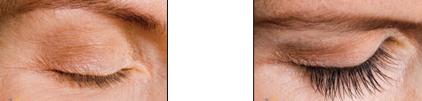 The 411 on Eyelash Extensions The 411 on Eyelash Extensions